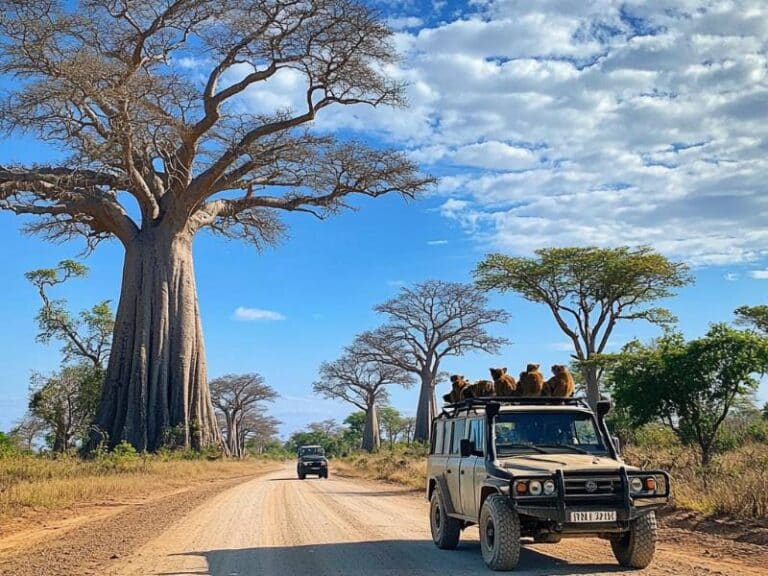 Die schönste Reiseroute durch Madagaskar