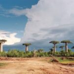 Wetter, Klima & Beste Reisezeit für Madagaskar