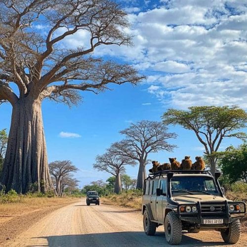 Die schönste Reiseroute durch Madagaskar