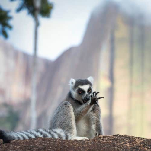 trekking in madagaskar